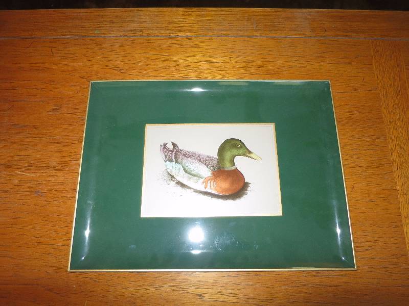 lot 117 image: Duck Plate