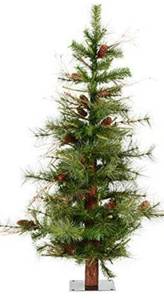 lot 2513 image: Ashland Pine Tree