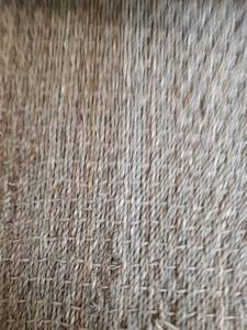 lot 44097 image: nuLOOM Elijah Natural Seagrass Farmhouse Area Rug, 3 x 5, Beige