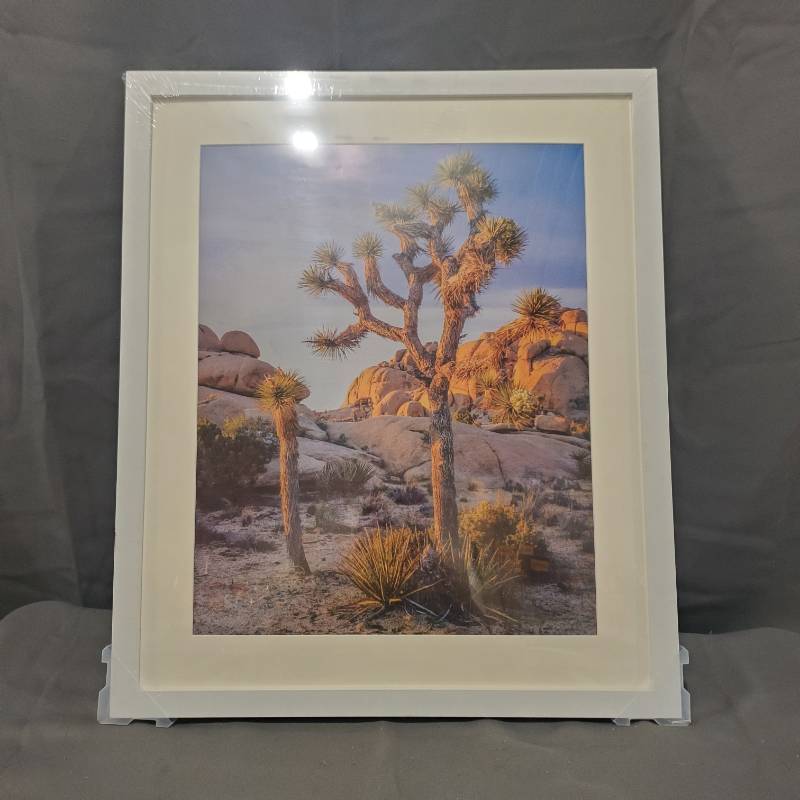 lot 22935 image: A PLUS MAX PHOTO