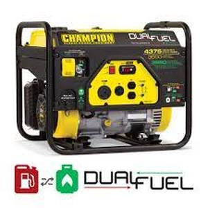 lot 60695 image: champion global power equipment dual fuel
