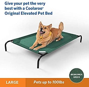 lot 2970 image: Coolaroo The Original Elevated Pet Bed, Large, Brunswick Green