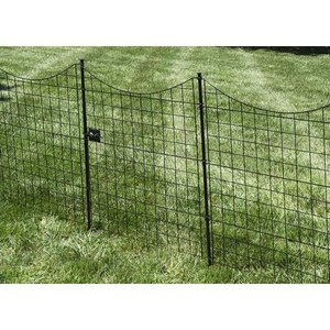 lot 2983 image: 41in Semi-Permanent Black Metal Garden Fence Gate - 2 Pack