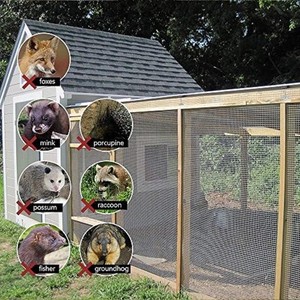 lot 8785 image: Amagabeli 48x50 Hardware Cloth 12 Inch 19 Gauge Galvanized Chicken Wire Fence Mesh JW007