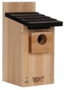 lot 2043 image: Cedar Bluebird Box House unbranded