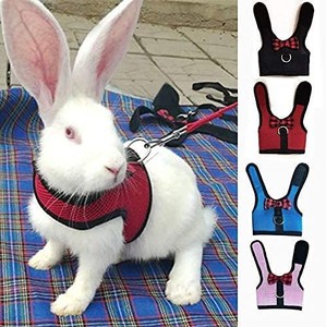lot 2142 image: Multipurpose Rabbits Hamster Vest Harness with Leash Bunny Mesh Chest Strap Harnesses Ferret Guinea Pig Small Animals Pet Accessories size medium