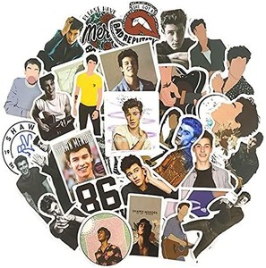lot 4030 image: Pack Handsome Boy Shawn Mendes Poster Graffiti Stickers for Fans Motorcycle Laptop Album Skateboard Toy Stickers 50pcs