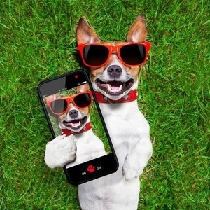 lot 41978 image: Print it fast dog taking a selfie tote bag