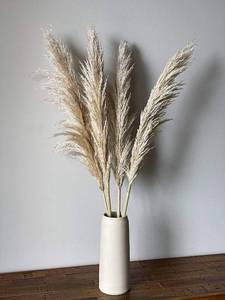 lot 30909 image: 4 stems Pampas Grass Natural Fluffy Large 39 - Home Decor, Wedding Boho Plant