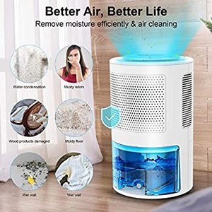 lot 30965 image: Dehumidifiers for Home - Large 68 oz(2000ml) Dehumidifiers for Basements Room Bedroom Bathroom Closet RV with Control Panel, Quiet Portable Small Dehumidifier with drain hose for 480 Sq.ft