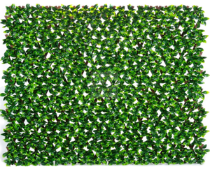 lot 2961 image: Privacy Screen