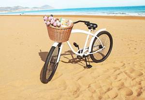 lot 3021 image: Bicycle Basket