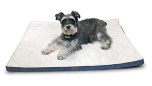 lot 3022 image: Dog Bed with Cover
