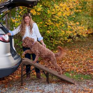 lot 41397 image: Pet Gear Free-standing Extra Wide Carpeted Pet Ramp- Retail$147.04