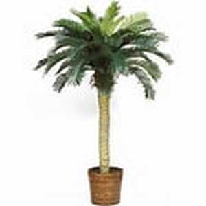 lot 41427 image: Sago Palm Silk Tree 4-foot - Green- Retail$89.99
