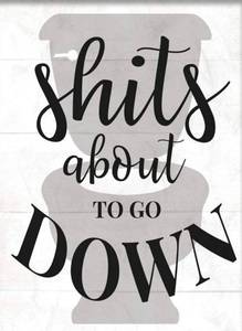 lot 58503 image: Stupell Industries About to Go Down Funny Bathroom Family Home Word Black Framed Wall Art, 11 x 14, Design by Artist Daphne Polselli