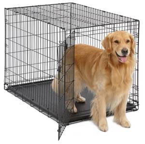 lot 55874 image: MidWest Single Door iCrate Metal Dog Crate, 42