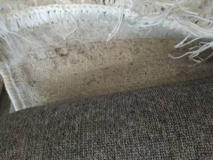 lot 55951 image: Rose 28x8 Area Rug Silver