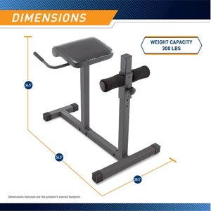 lot 55960 image: Marcy Roman Chair Hyper-Extension Home Workout Multipurpose Bench