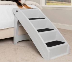 lot 53573 image: Cozy Up Pet Stiars
