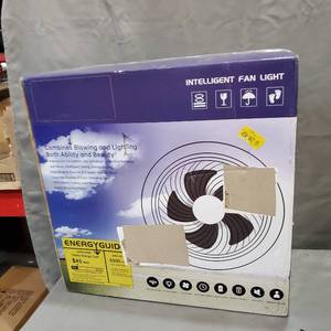 lot 1597 image: CEILING FAN WITH LIGHT