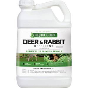 lot 1616 image: Liquid Fence Deer And Rabbit Repellent, Concentrate, 2.5 Gallons