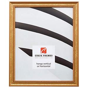 lot 19960 image: Craig Frames 314GD 24 x 36 Inch Poster Frame, Solid Wood, 0.75 Inch Wide, Gold