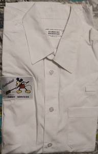 lot 31054 image: Disney Worldwide Services Custodial Shirt
