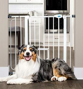 lot 6875 image: Carlson Extra Wide Walk Through Pet Gate with Small Pet Door, Includes 4-Inch Extension Kit, Pressure Mount Kit and Wall Mount Kit