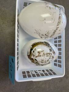 lot 107 image: Hand Blown Easter Eggs