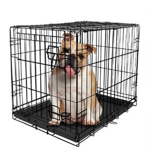 lot 851 image: Vibrant Life Single-Door Folding Wire Dog Crate with Divider, 36