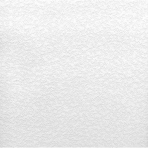 lot 42901 image: 25 Pieces of White Vinyl Wall Covering