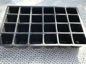lot 55991 image: Item description (These are a single use, lightweight product. Plants grown in inserts retain their own root system on transplanting. We will always try to respond within 24 hours (excluding weekends.). 2) If you live in.