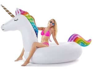 lot 4312 image: Unicorn Inflatable