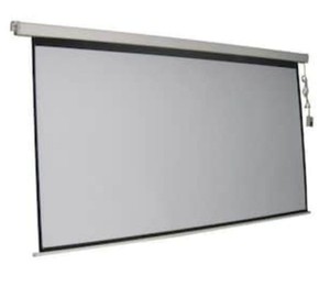 lot 4372 image: Projector Screen