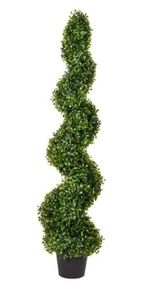 lot 4393 image: Boxwood Spiral Topiary with Planter