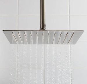 lot 4394 image: Shower Head