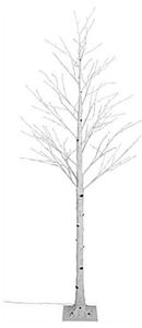 lot 4609 image: Lighted Birch Tree