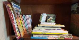 lot 483 image: Childrens Books - bring boxes to load out