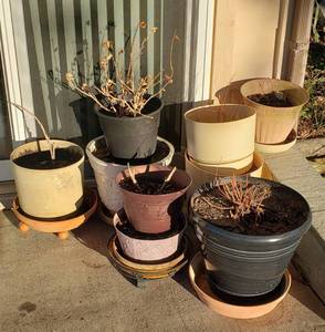 lot 1001 image: 9 Plastic Pots and 3 Rolling Plant Stands