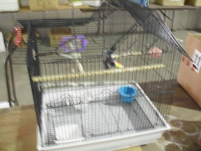 lot 1761 image: Bird Cage