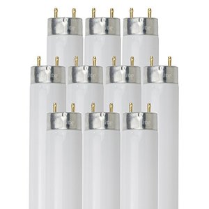 lot 5169 image: Sunlite F25T8SP84110PK T8 High Performance Medium Bi-Pin (G13) Base Straight Tube Bulb (10 Pack), 25W4100K, Cool White