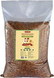 lot 6198 image: 10lbs Bulk Non-GMO Dried Mealworms for Reptile , Tortoise  Amphibian ,Lizard Wild Birds Chichens Duck etc