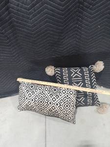 lot 2025 image: 2 Allen and Roth throw pillows