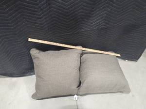 lot 2026 image: Two taupe colored throw pillows 19 in