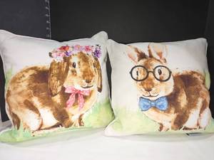 lot 4010 image: The Carrot Patch accent pillows approximately 14 x 14 in