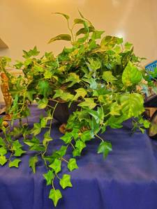 lot 3467 image: Artificial plant and tin vase