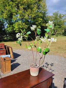 lot 3469 image: Artificial tree