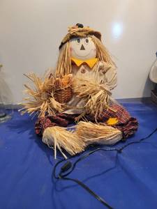 lot 3547 image: Scarecrow no plugin dose not work