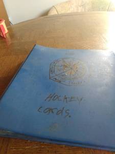 lot 4038 image: binder with five pages of hockey cards